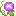 朝顔